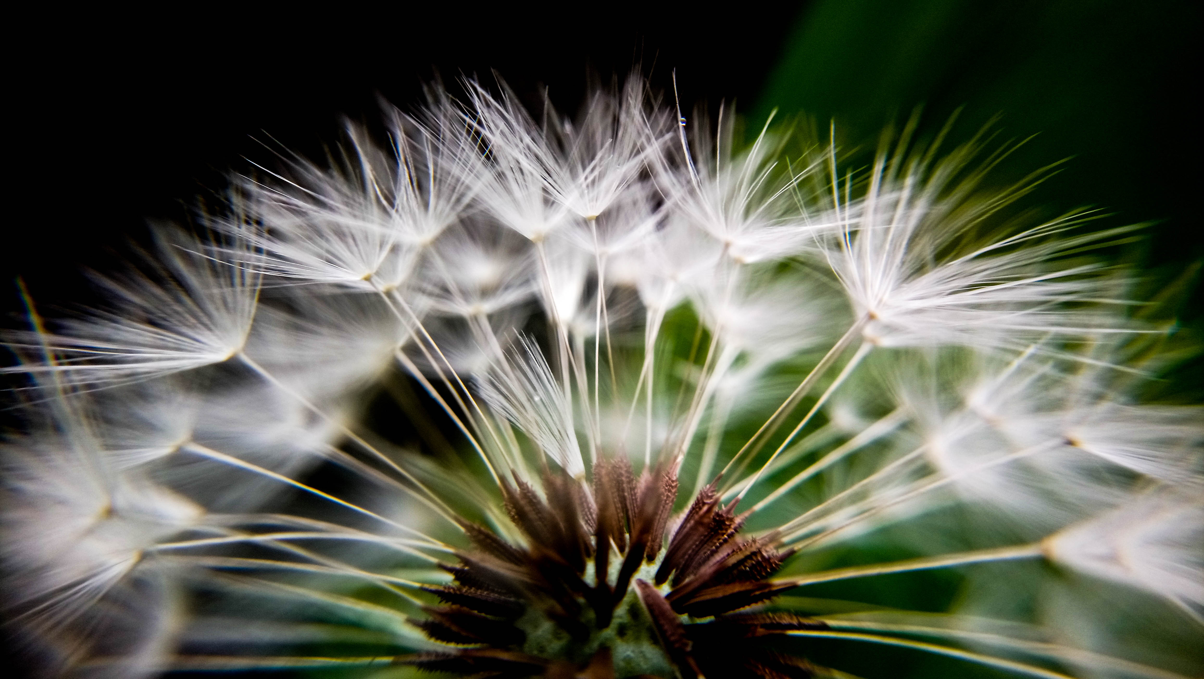 gallery-photo