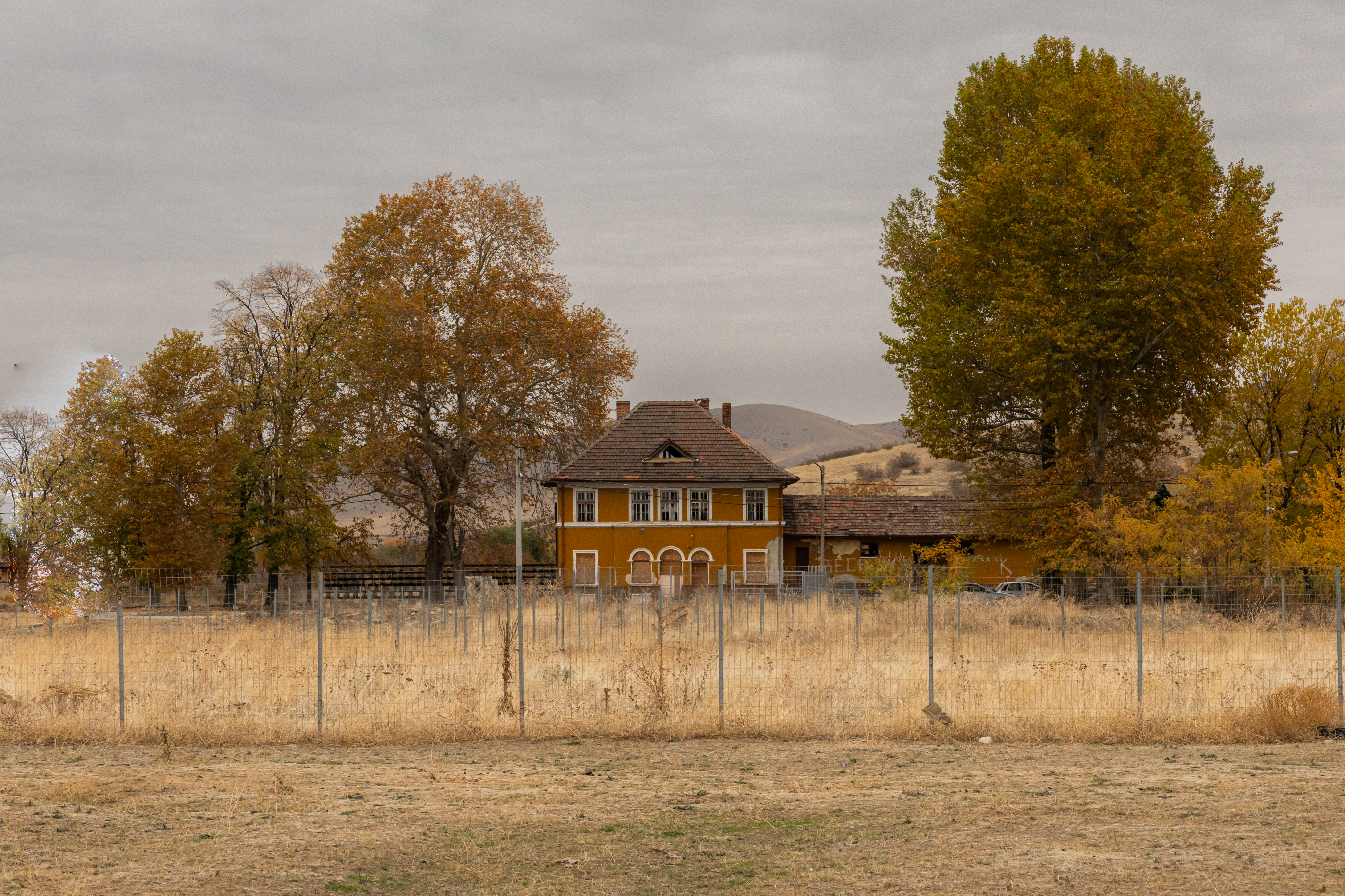 gallery-photo
